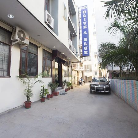 Hotel Olive & Blue - Govt Approved Hotel Near Delhi Airport Yeni Delhi Dış mekan fotoğraf